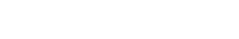 Shiseido