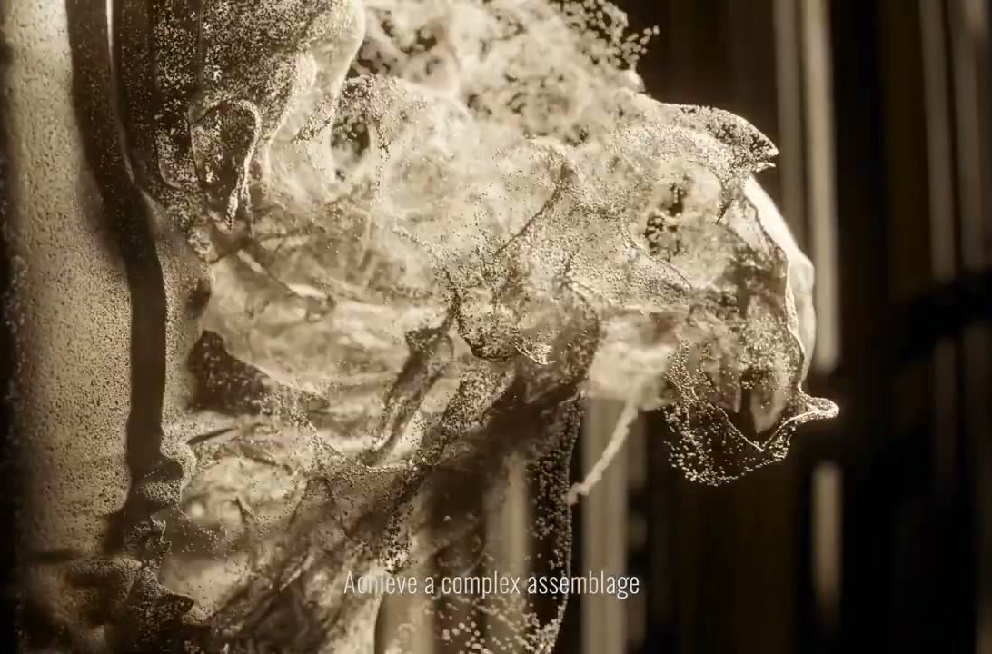 Dom Pérignon — Vintage 2012 — Explosive Harmony, still 2