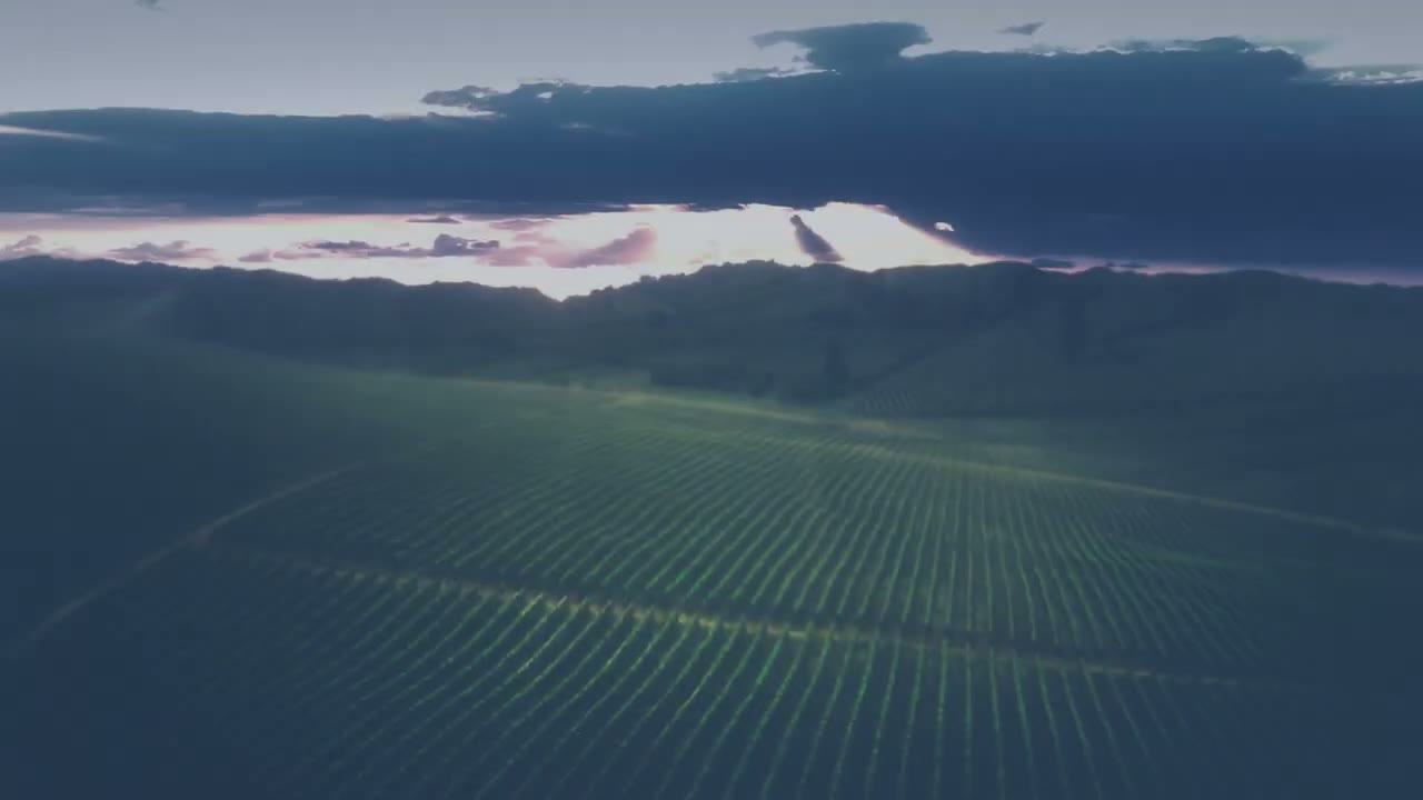 Dom Pérignon — Vintage 2012 — Explosive Harmony, still 1