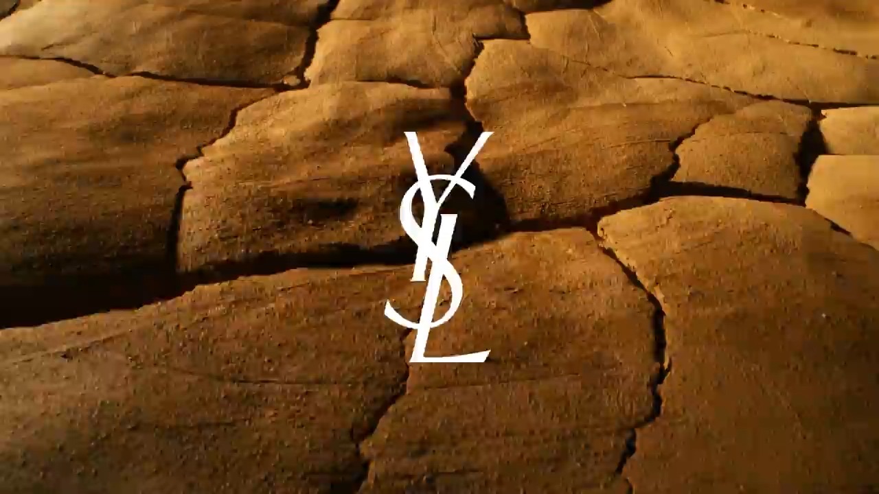 YSL Beauty — Pure Shots